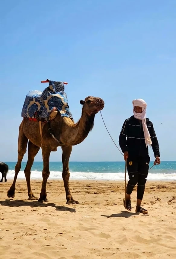 Daily life on the Atlantic beach near Agadir